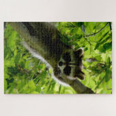 Raccoon in groene boom Cute gray gemaskerde wasbee Legpuzzel (Horizontaal)