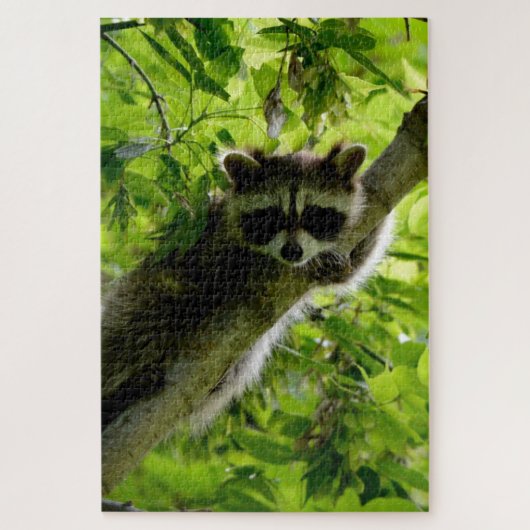 Raccoon in groene boom Cute gray gemaskerde wasbee Legpuzzel (Verticaal)