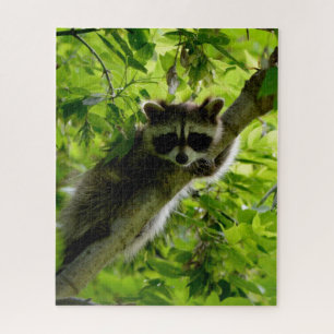 Raccoon in groene boom Cute gray gemaskerde wasbee Legpuzzel