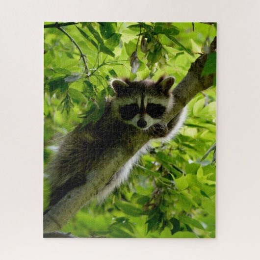 Raccoon in groene boom Cute gray gemaskerde wasbee Legpuzzel (Verticaal)