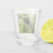 Raccoon in groene boom Cute gray gemaskerde wasbee Shot Glas (Achterkant)