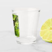 Raccoon in groene boom Cute gray gemaskerde wasbee Shot Glas (Rechts)