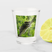 Raccoon in groene boom Cute gray gemaskerde wasbee Shot Glas (Voorkant)