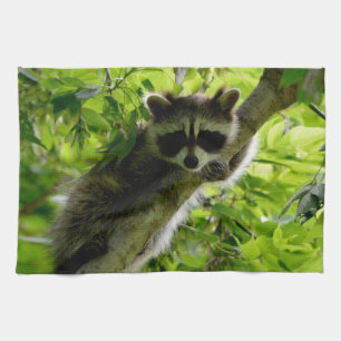 Raccoon in groene boom Cute gray gemaskerde wasbee Theedoek