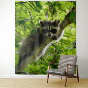 Raccoon in groene boom Cute gray gemaskerde wasbee Wandkleed
