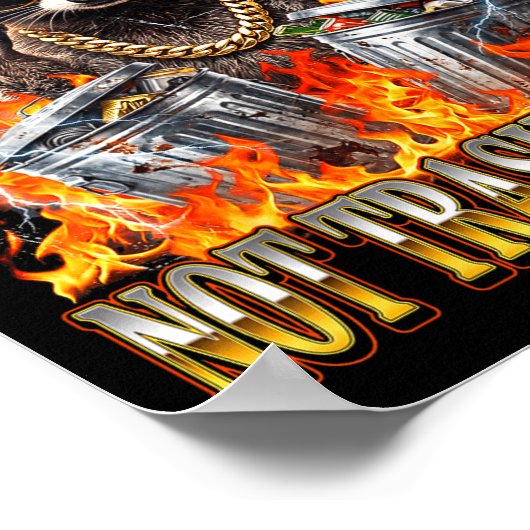 Raccoon It's Called Trash Can Not Trash Cannot Fun Poster (Hoek)