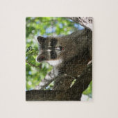 Raccoon - Jigzaag Puzzle Legpuzzel (Verticaal)