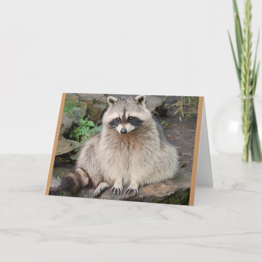 Raccoon Kaart (Voorkant)