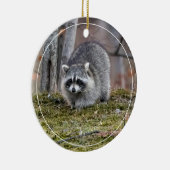 Raccoon Keramisch Ornament (Rechts)