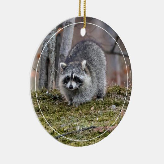 Raccoon Keramisch Ornament (Rechts)