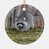Raccoon Keramisch Ornament (Voorkant)