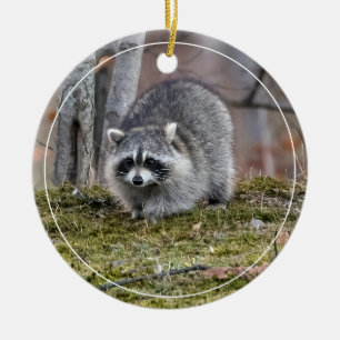 Raccoon Keramisch Ornament