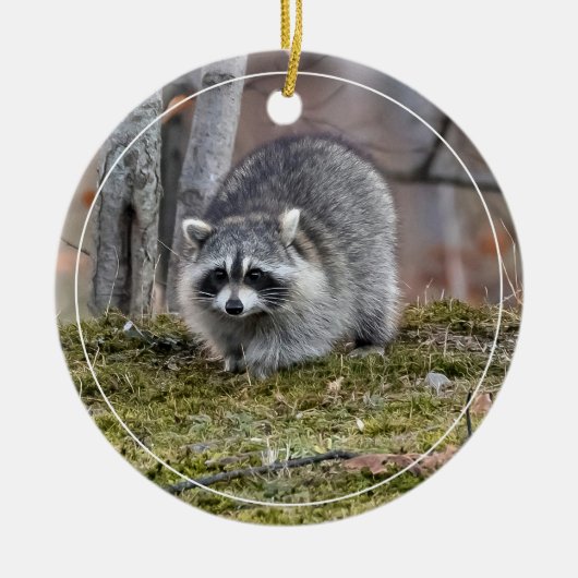 Raccoon Keramisch Ornament (Voorkant)