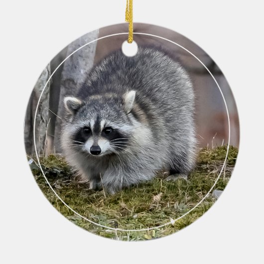 Raccoon Keramisch Ornament (Achterkant)