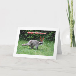 Raccoon Kerstmis Feestdagen Kaart