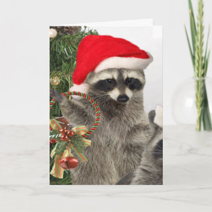 Raccoon kerstviering feestdagen kaart
