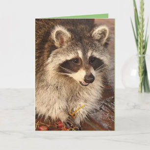 Raccoon Kit met grafische blanco notitiekaart