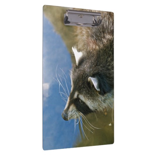 Raccoon Klembord (Rechts)