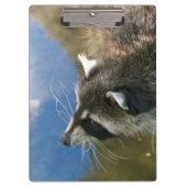 Raccoon Klembord (Voorkant)