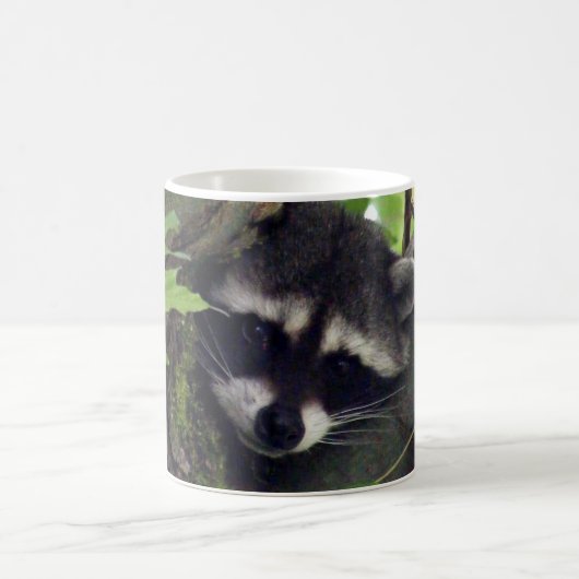 Raccoon Koffiemok (Center)