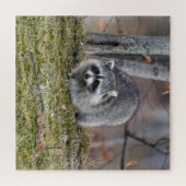 Raccoon Legpuzzel (Horizontaal)