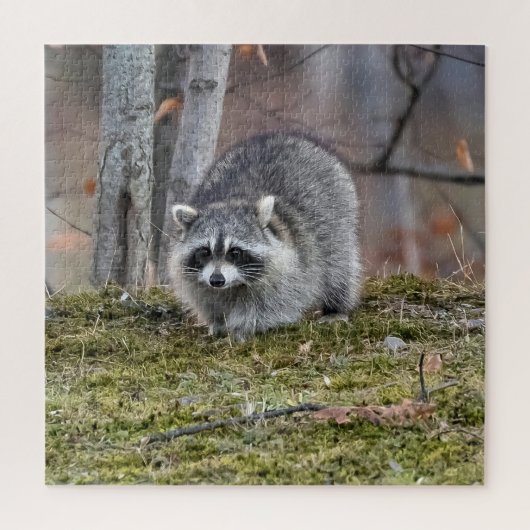 Raccoon Legpuzzel (Verticaal)