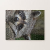 Raccoon Legpuzzel (Horizontaal)