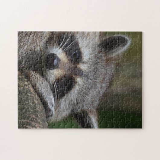 Raccoon Legpuzzel (Horizontaal)