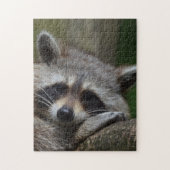 Raccoon Legpuzzel (Verticaal)