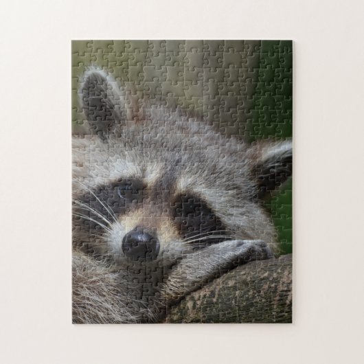 Raccoon Legpuzzel (Verticaal)