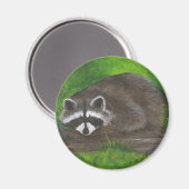 Raccoon Magneet (Voorkant / Achterkant)