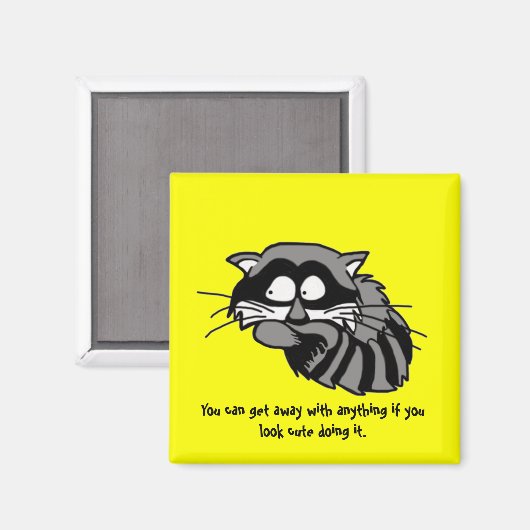 Raccoon Magneet (Voorkant / Achterkant)