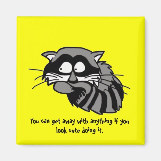 Raccoon Magneet (Voorkant)