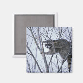 Raccoon Magneet (Voorkant / Achterkant)