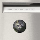 Raccoon Magnet (Insitu (Vaatwasser))