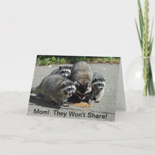 Raccoon Mam & Babies Kaart