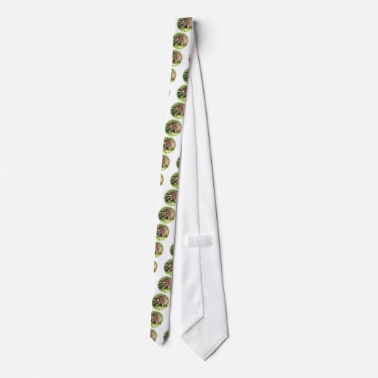 Raccoon Mannen Necktie Stropdas (Achterkant)