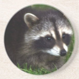 Raccoon Masker Onderzetter