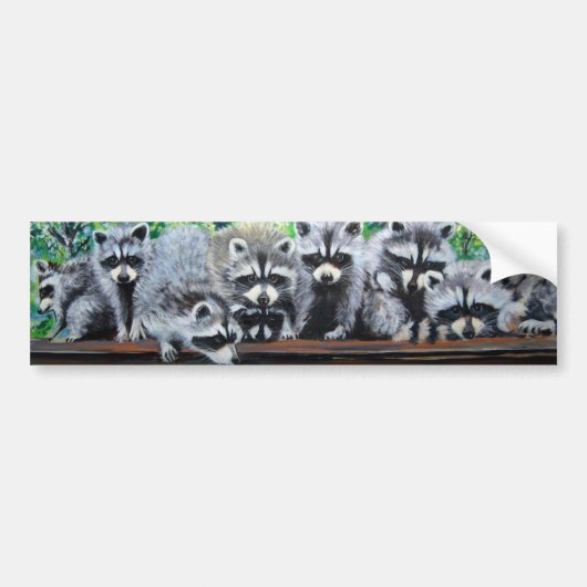 Raccoon Meeting Bumpersticker (Voorkant)