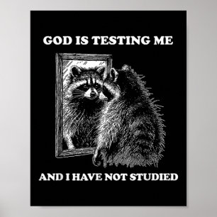 Raccoon Meme Funny Gezegde God test me straat Poster