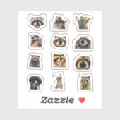 Raccoon Meme Funny Sticker Set Bundle (Vel)