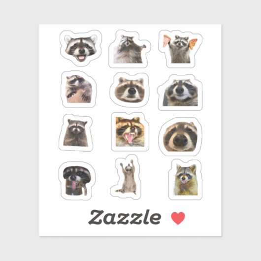Raccoon Meme Funny Sticker Set Bundle (Vel)
