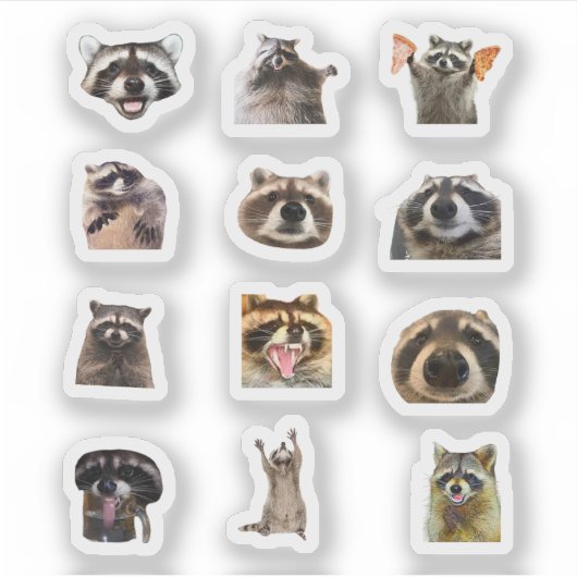 Raccoon Meme Funny Sticker Set Bundle (Voorkant)