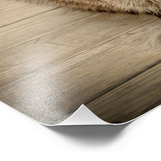 Raccoon met chip foto afdruk (Hoek)