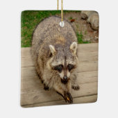 Raccoon met chip keramisch ornament (Rechts)