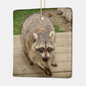 Raccoon met chip keramisch ornament (Links)
