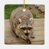 Raccoon met chip keramisch ornament (Achterkant)