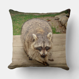 Raccoon met chip kussen