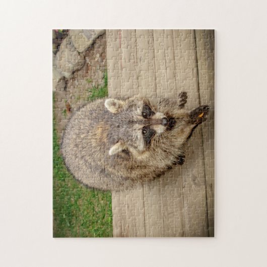 Raccoon met chip legpuzzel (Verticaal)