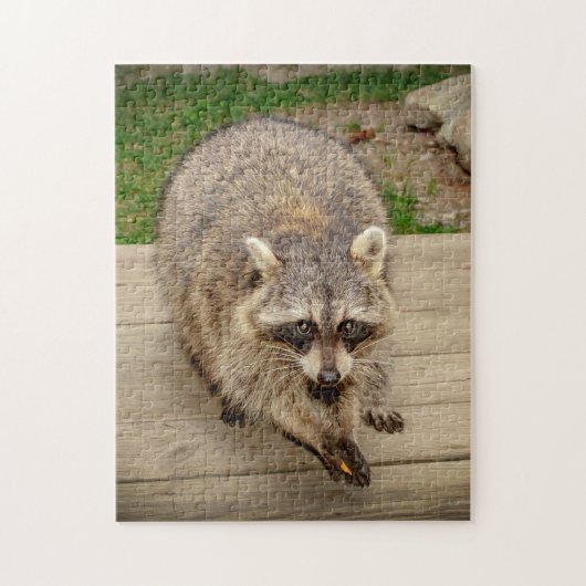 Raccoon met chip legpuzzel (Verticaal)